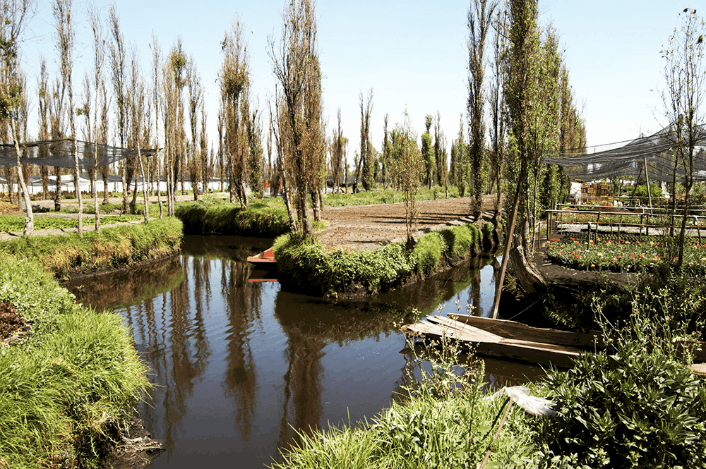 Chinampas.png 1