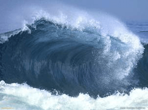 olas