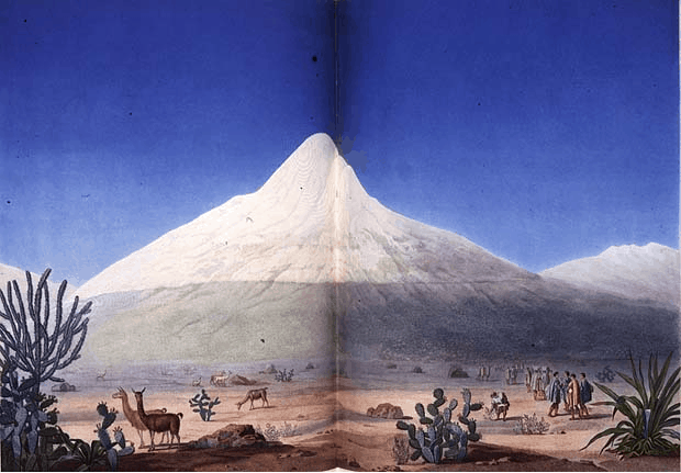 segun-el-dibujo-hecho-por-aime-bonpland-y-alexander-von-humboldt-durante-su-viaje-por-hispanoamerica