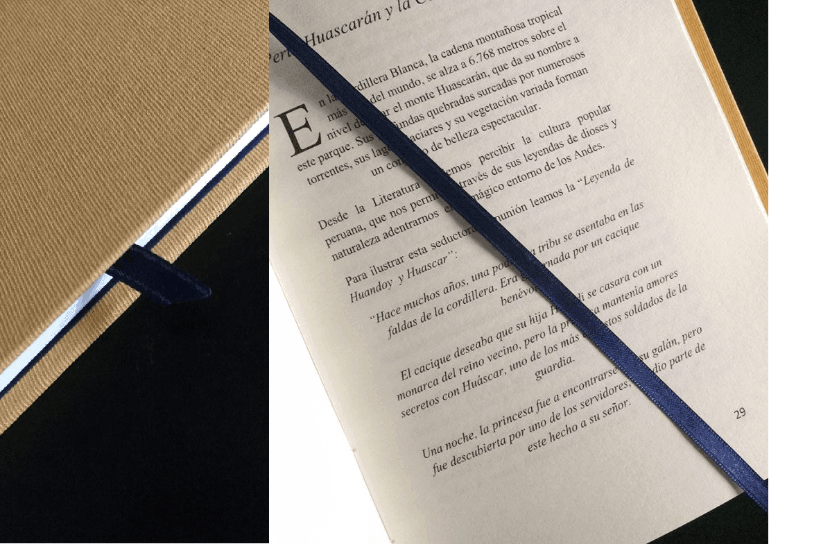 Libro Patrimonios 1