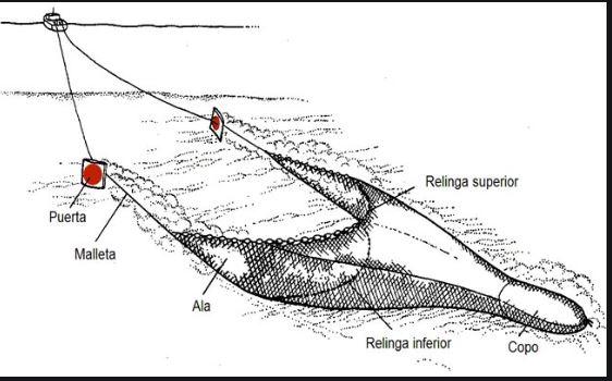 Pesca arrastre