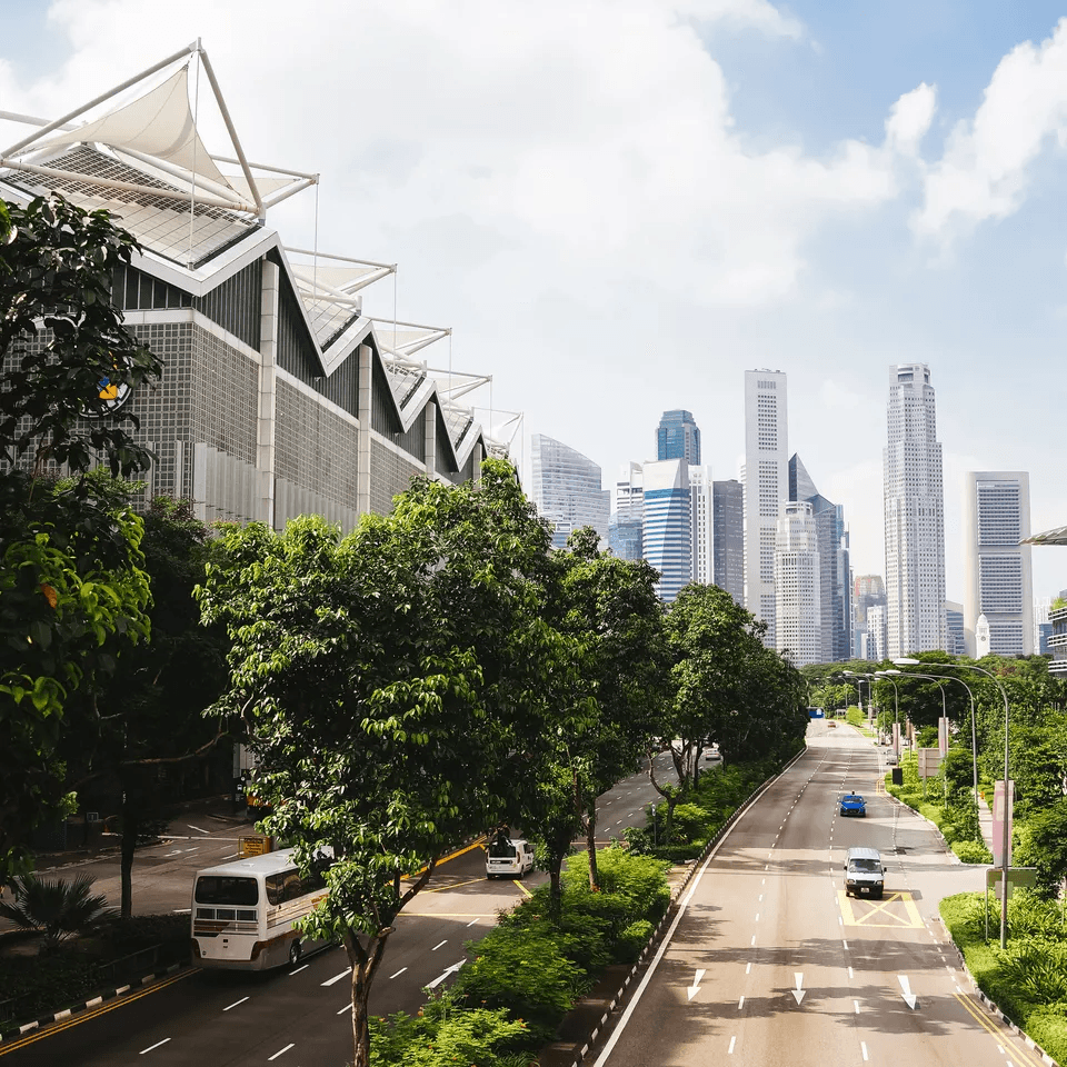 Green urban life: La infraestructura verde