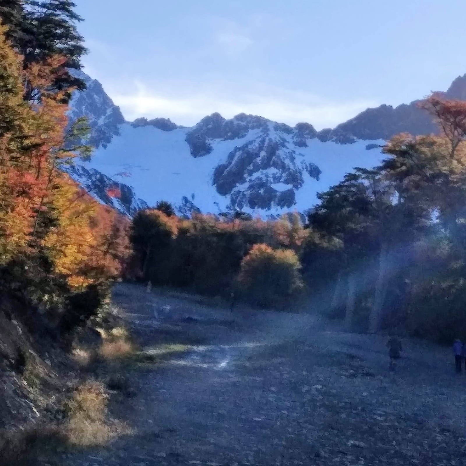 Buscar nuevos paisajes es tener, a veces,  nuevos ojos