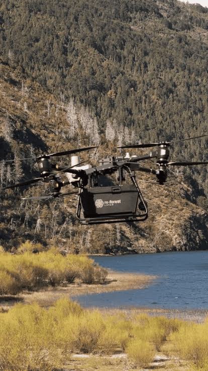 Recuperar bosques con drones que “siembran” semillas